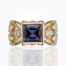 Load image into Gallery viewer, R41625-VINETZ